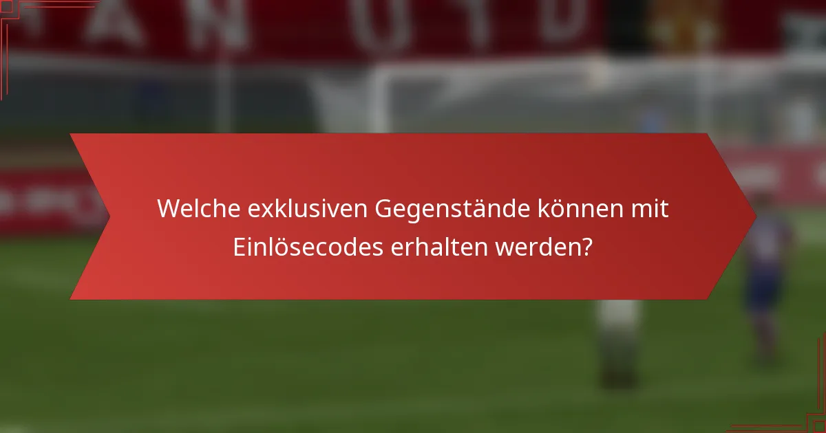 Welche exklusiven Gegenstände können mit Einlösecodes erhalten werden?