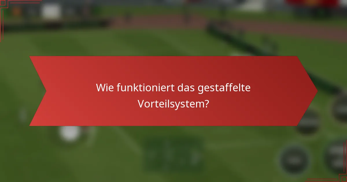 Wie funktioniert das gestaffelte Vorteilsystem?